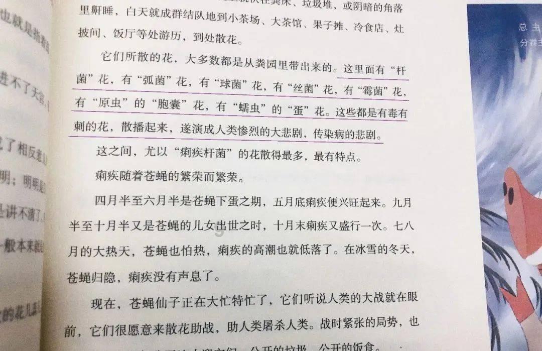 安徽石台:浓浓的春节“烟火气”为省城年货市场增彩